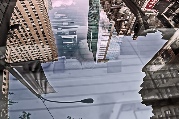 Auto-Reflection 14